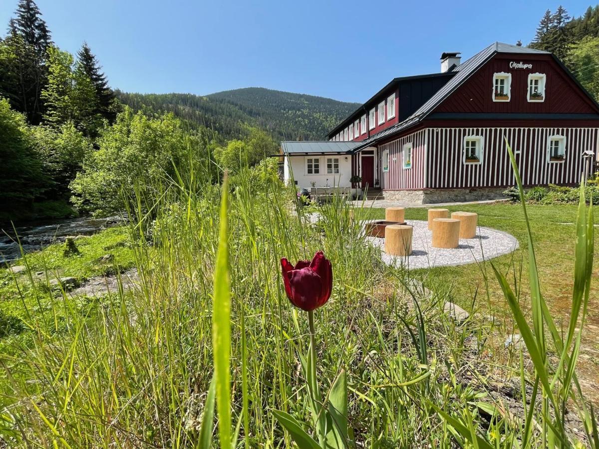 Apartmany Challupa Horní Maršov Exteriör bild